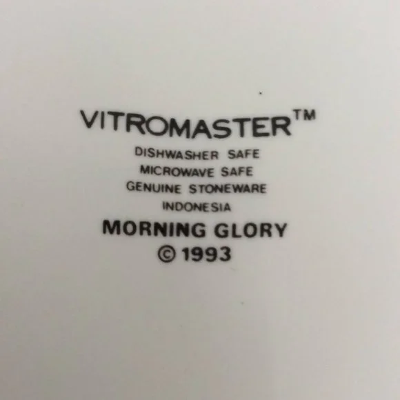 3 Vitromaster 10.5" Dinner Plates Stoneware 1993 Morning Glory Pattern